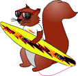Surf Squirrel GIF